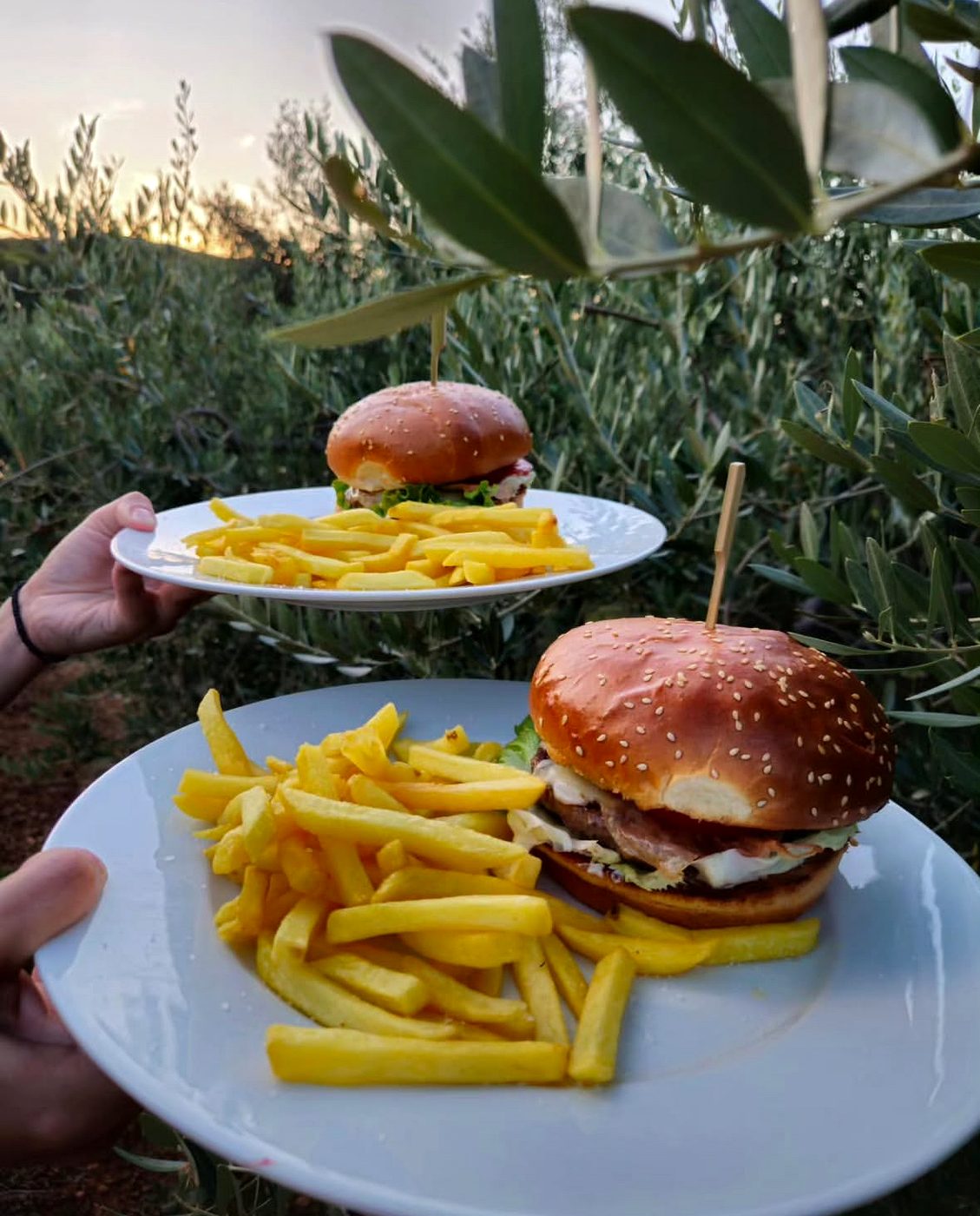Burgeri u masliniku / Burgers in the olive grove