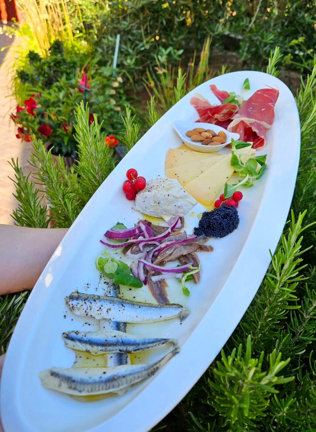 Pladanj s inćunima i pršutom / Anchovy and prosciutto platter